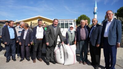 Milas Belediyesi’nden Üreticilere Karakılçık Buğday Tohumu Desteği Milas Belediyesi sürdürülebilir