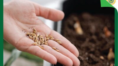 Lüleburgaz Belediyesi’nden Tohum Takas Şenliği Lüleburgaz Belediyesi, yerel ve ata