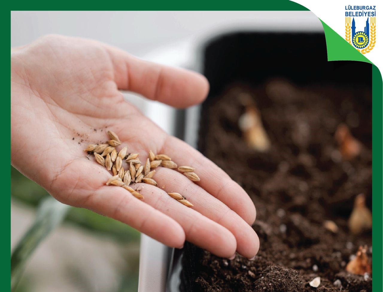 Lüleburgaz Belediyesi’nden Tohum Takas Şenliği Lüleburgaz Belediyesi, yerel ve ata