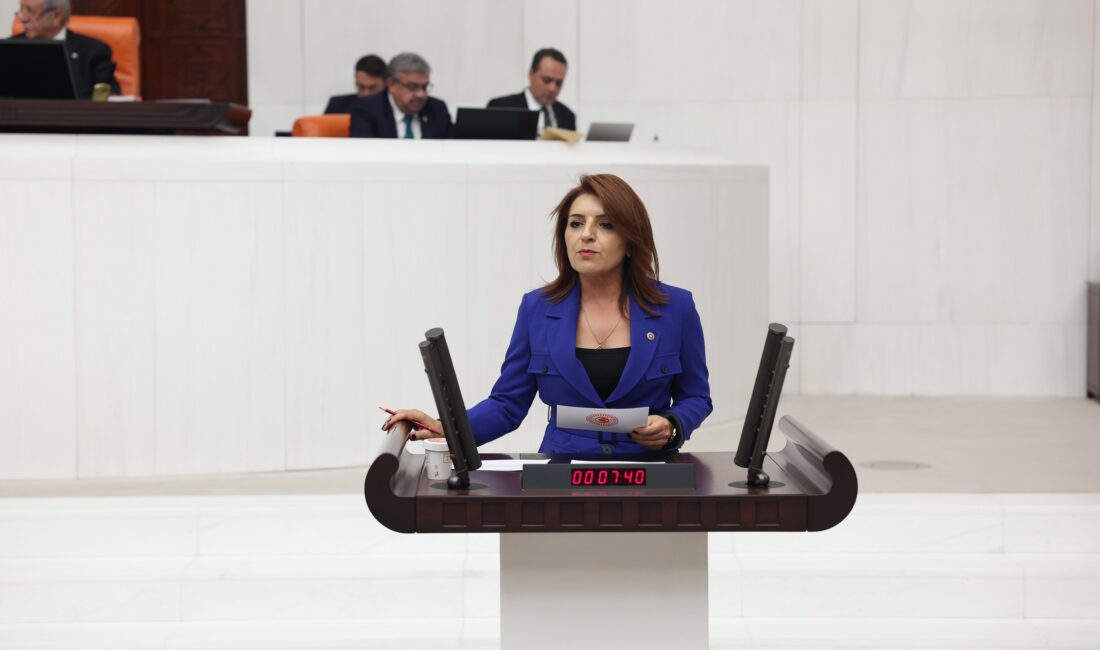 Gülcan Kış: “Sandıkta Alamadığınızı Kanunla Almaya Çalışıyorsunuz!” CHP Mersin Milletvekili