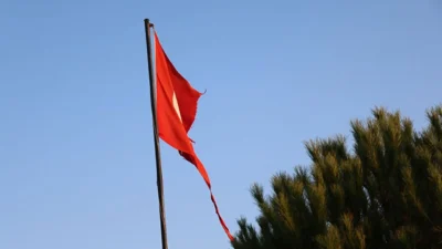 Aydın'ın Köşk ilçesi Cumayanı Mahallesi üst bölgesinde göndere çekilen ve