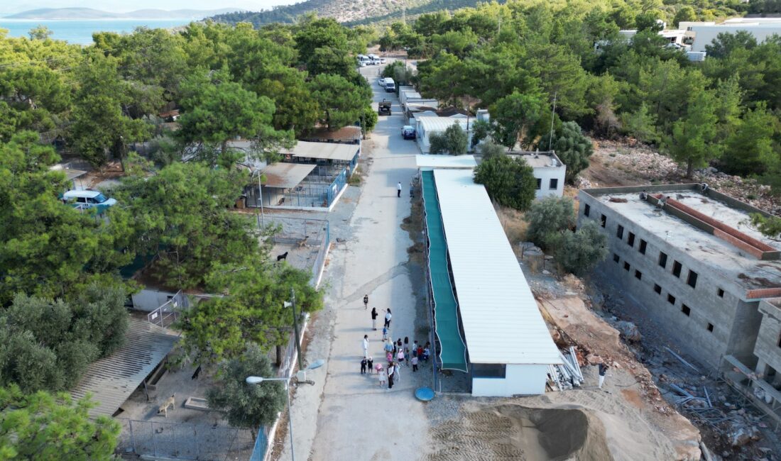 Bodrum Belediyesi Sokaklardaki Dostlarının Yanında Bodrum Belediyesi, kent genelinde sürdürdüğü