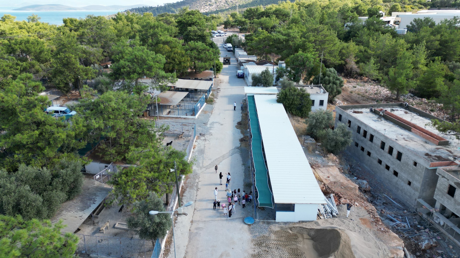 Bodrum Belediyesi Sokaklardaki Dostlarının Yanında Bodrum Belediyesi, kent genelinde sürdürdüğü
