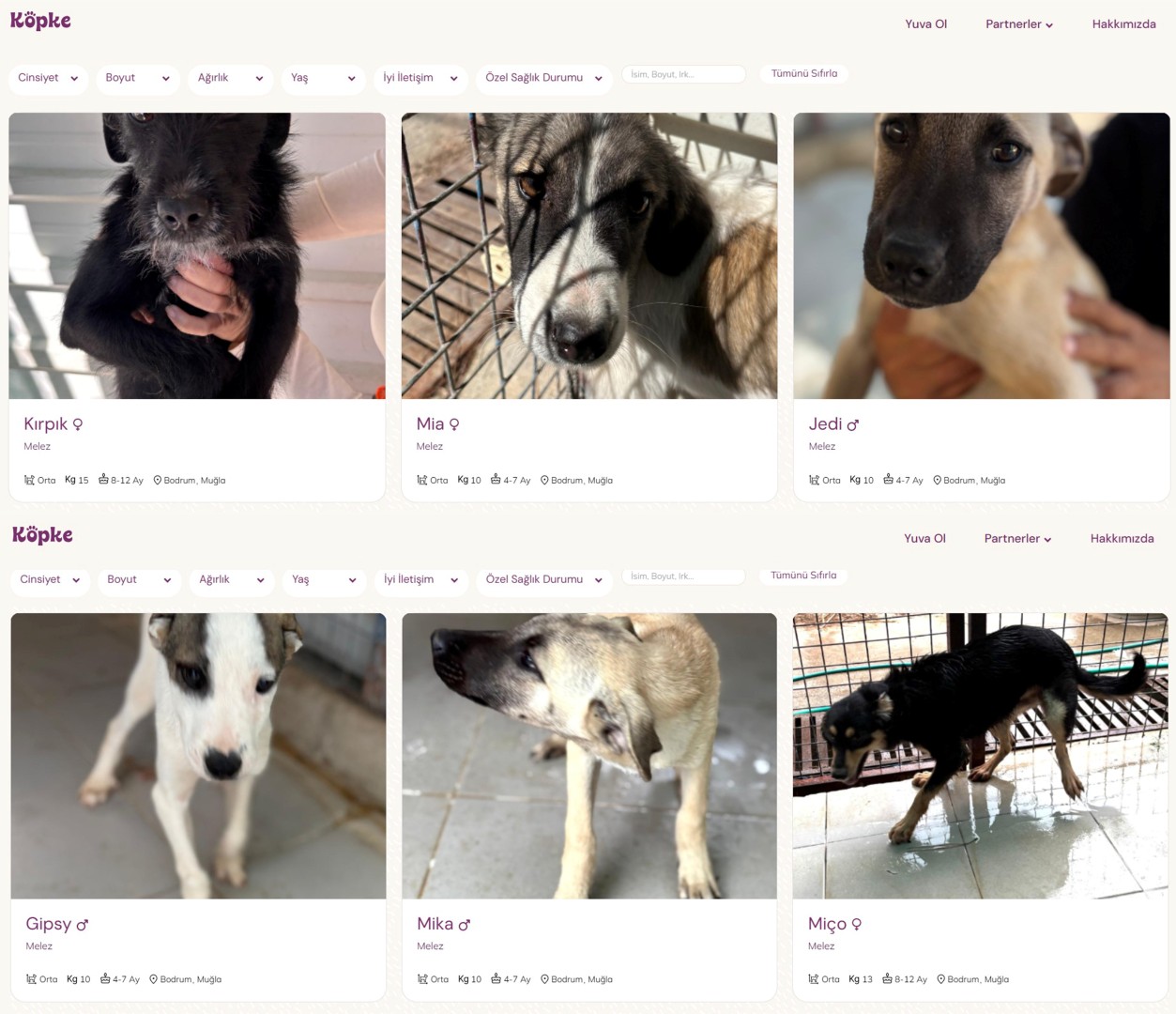 Bodrum Belediyesi Yuvalandırma Platformu Hayata Geçti Bodrum Belediyesi, Bodrum Kent