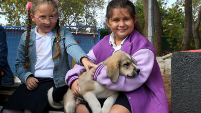 Minik Hayvanseverlerden Can Dostlara Anlamlı Ziyaret Kuşadası Belediyesi, 4 Ekim