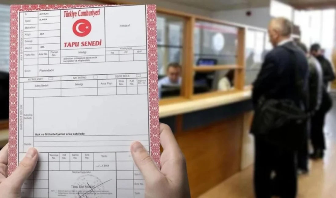 Tapuda ‘Rapor’ Çilesi: 65 Yaş Üstünün İşlemleri Kilitlendi, Sektör Temsilcilerinden