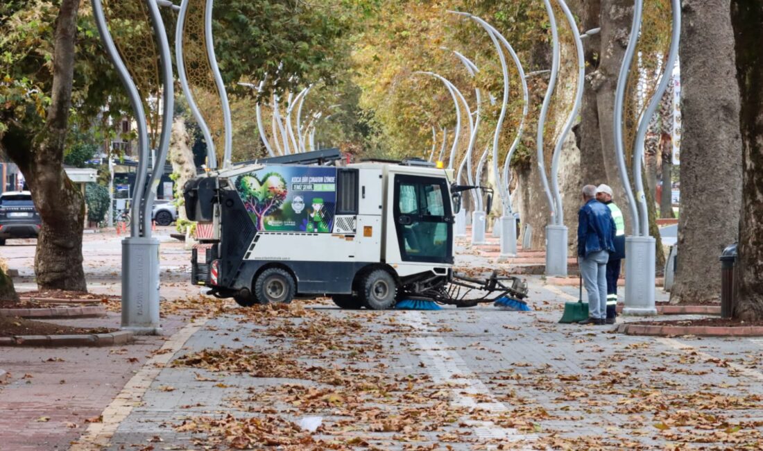 Yalova’da Tarihi Anıt Ağaçların Bakım ve Budama Çalışmaları Devam Ediyor