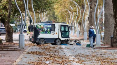 Yalova’da Tarihi Anıt Ağaçların Bakım ve Budama Çalışmaları Devam Ediyor Yalova’da Tarihi Anıt Ağaçların Bakım ve Budama Çalışmaları Devam Ediyor