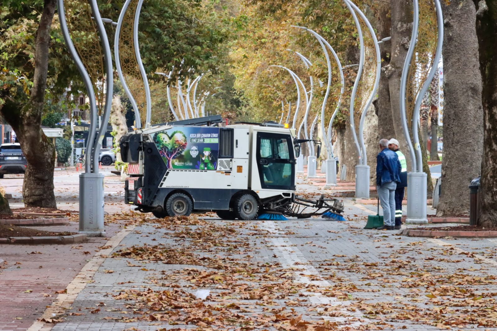 Yalova’da Tarihi Anıt Ağaçların Bakım ve Budama Çalışmaları Devam Ediyor