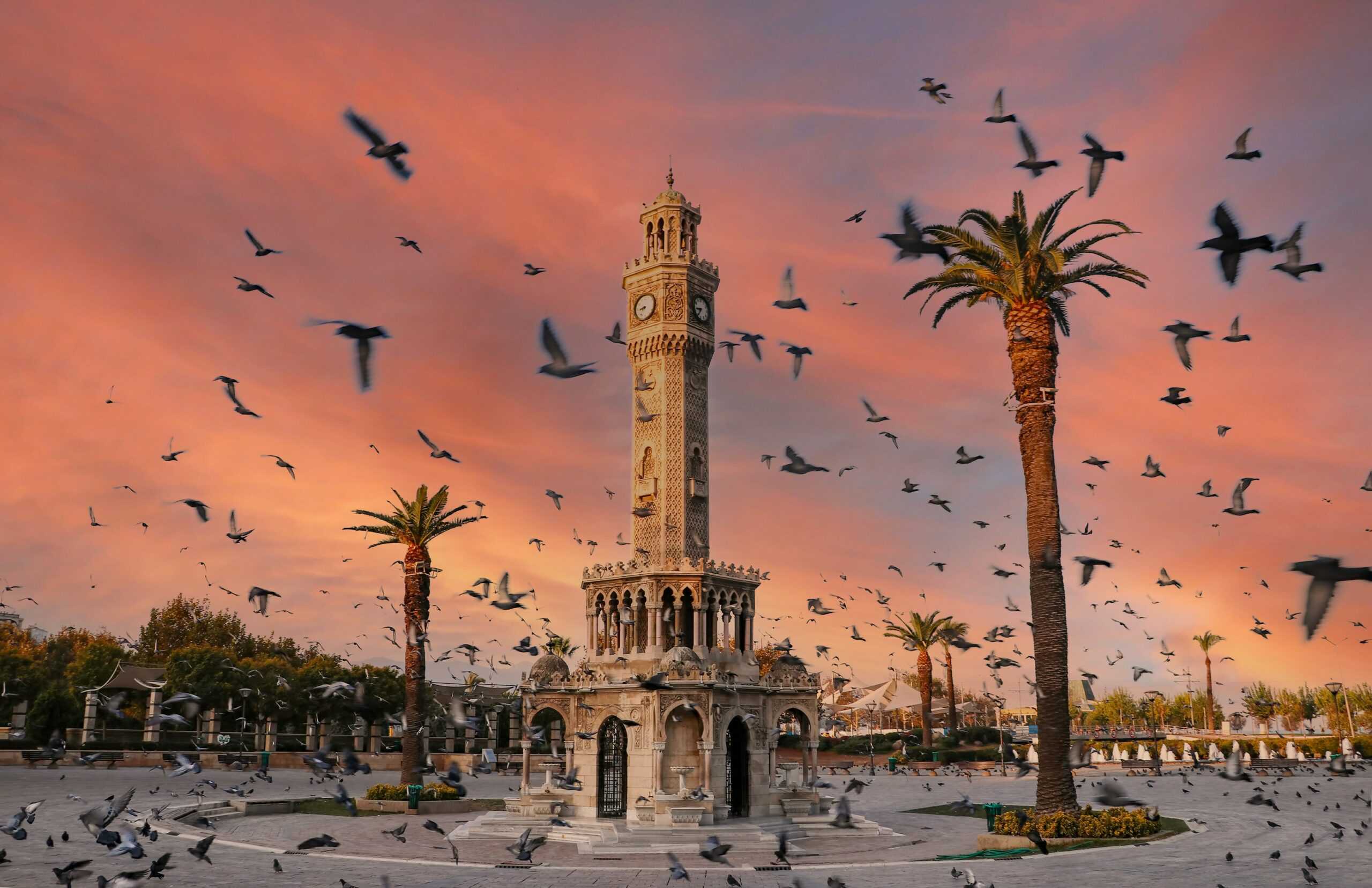Eşit İzmir, Gönüllülerini Bekliyor İzmir Büyükşehir Belediyesi, kadınların ve kız