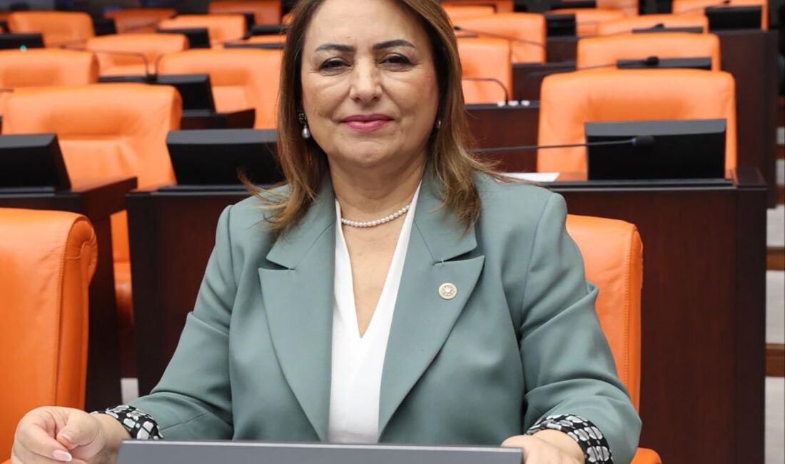 Müzeyyen Şevkin, Mecliste Çözüm Aradı: “Yumurtalık, Merkezi İdareden Hiçbir Destek