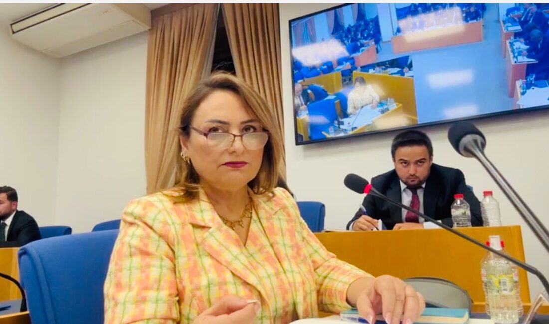Müzeyyen Şevkin: “En Büyük Banknot 200 Lira İle Tavuk Dürüm