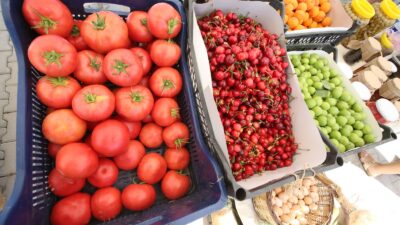 Efes Tarlası Yaşam Köyü’nde Üretici Pazarı 19 Ekim’de Kapılarını Açıyor