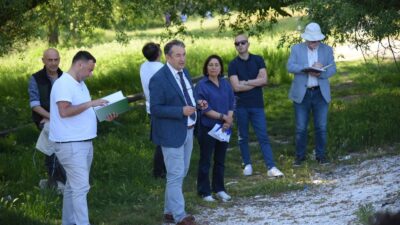 Türkiye’de son yıllarda artan orman yangınlarıyla birlikte kızılçam ormanları kamuoyunda