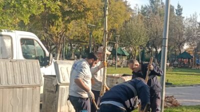 Yunusemre’de Ağaçlandırma Çalışmaları Sürüyor Yunusemre Belediyesi, yemyeşil bir Yunusemre için