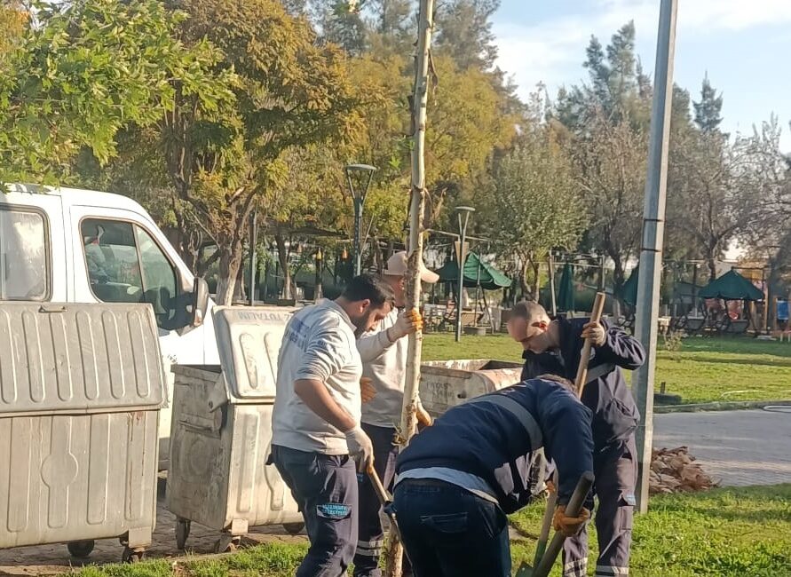 Yunusemre’de Ağaçlandırma Çalışmaları Sürüyor Yunusemre Belediyesi, yemyeşil bir Yunusemre için