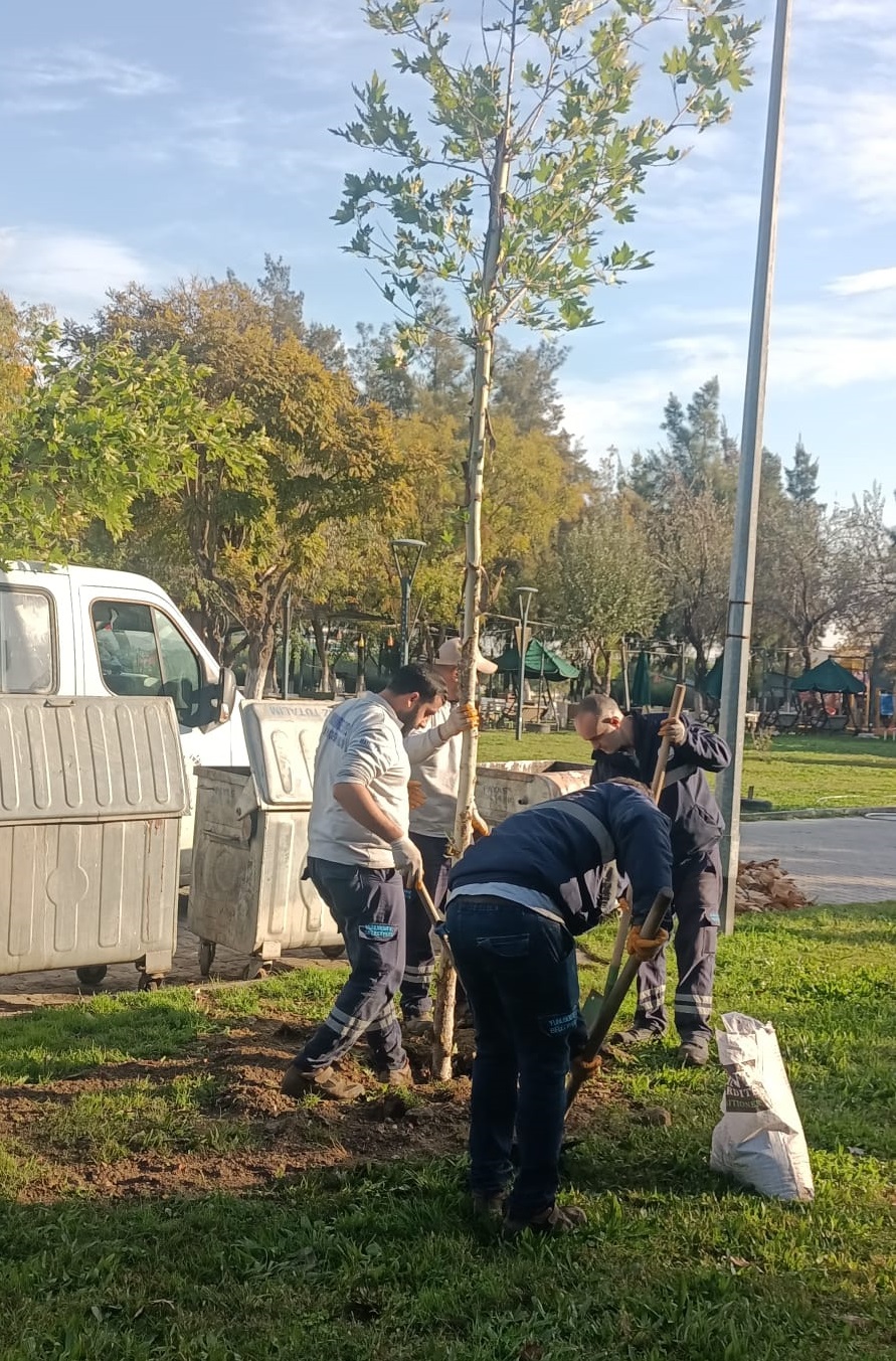 Yunusemre’de Ağaçlandırma Çalışmaları Sürüyor Yunusemre Belediyesi, yemyeşil bir Yunusemre için