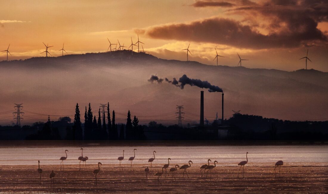 Türkiye’nin En Büyük Fotoğraf Festivali Başlıyor Bursa Büyükşehir Belediyesi’nin, Bursa