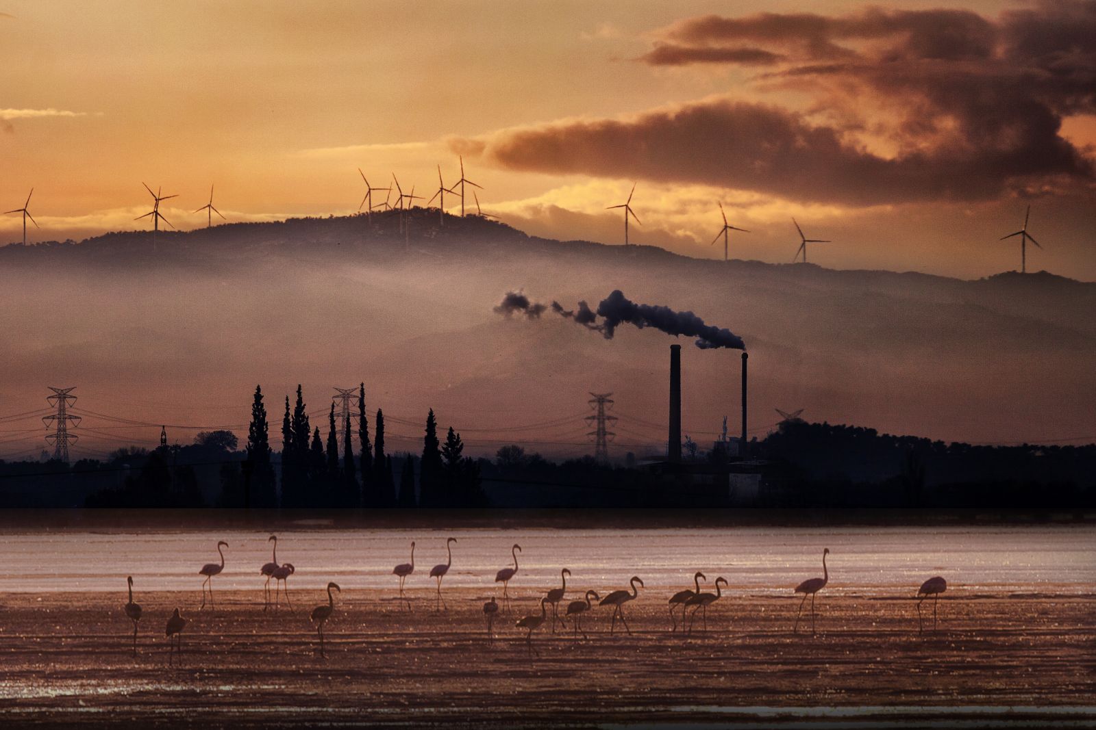 Türkiye’nin En Büyük Fotoğraf Festivali Başlıyor Bursa Büyükşehir Belediyesi’nin, Bursa