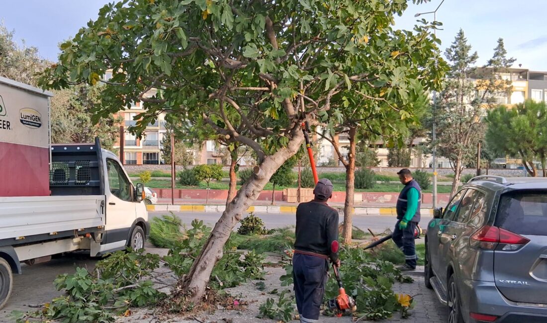 Efeler’in Yeşil Ekipleri Budama Çalışmalarına Devam Ediyor Efeler Belediyesi Park