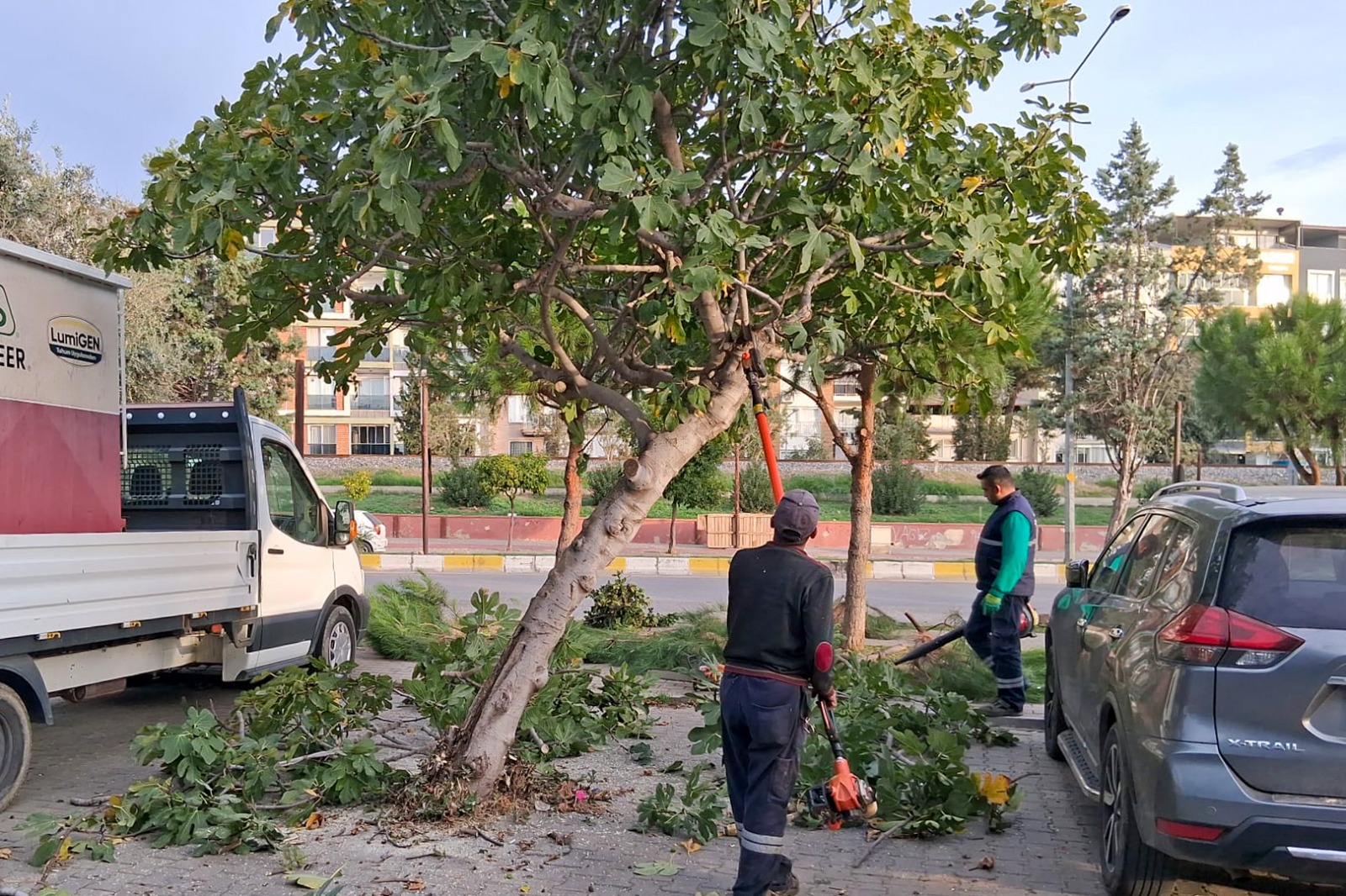 Efeler’in Yeşil Ekipleri Budama Çalışmalarına Devam Ediyor Efeler Belediyesi Park