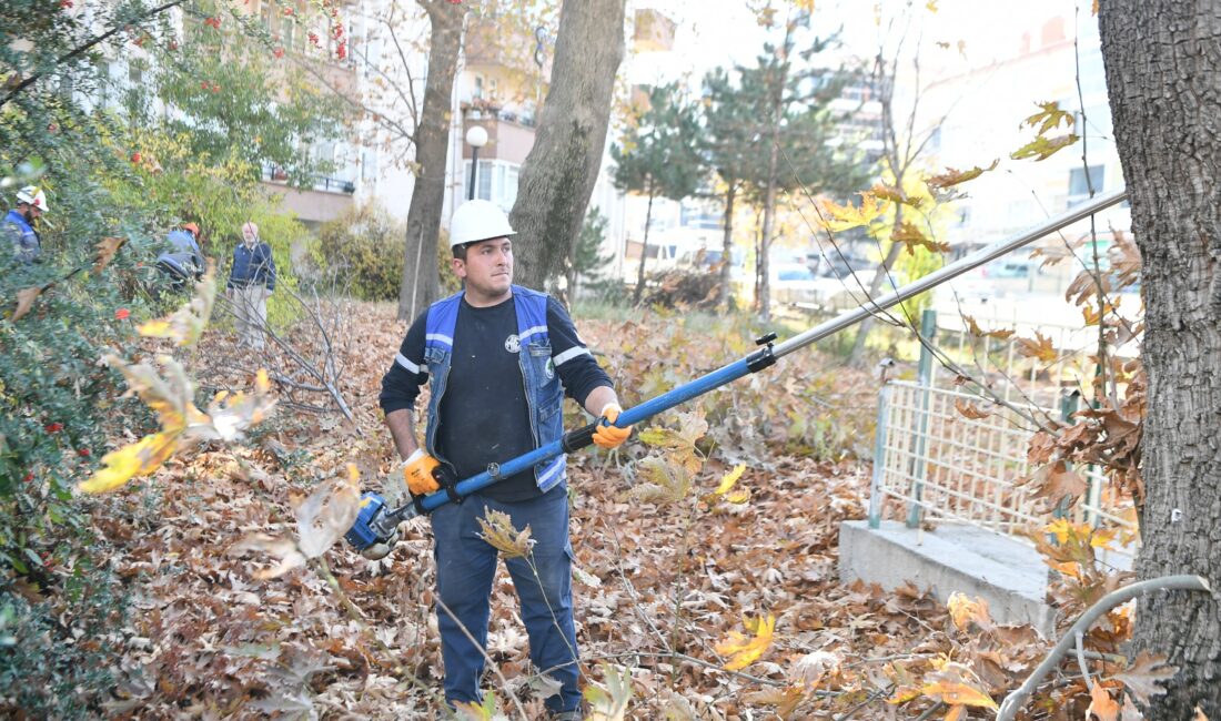 Mamak’ta Sonbahar Budama Çalışmaları Sürüyor Mamak Belediyesi, ilçe genelinde ağaçların