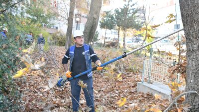 Mamak’ta Sonbahar Budama Çalışmaları Sürüyor Mamak Belediyesi, ilçe genelinde ağaçların