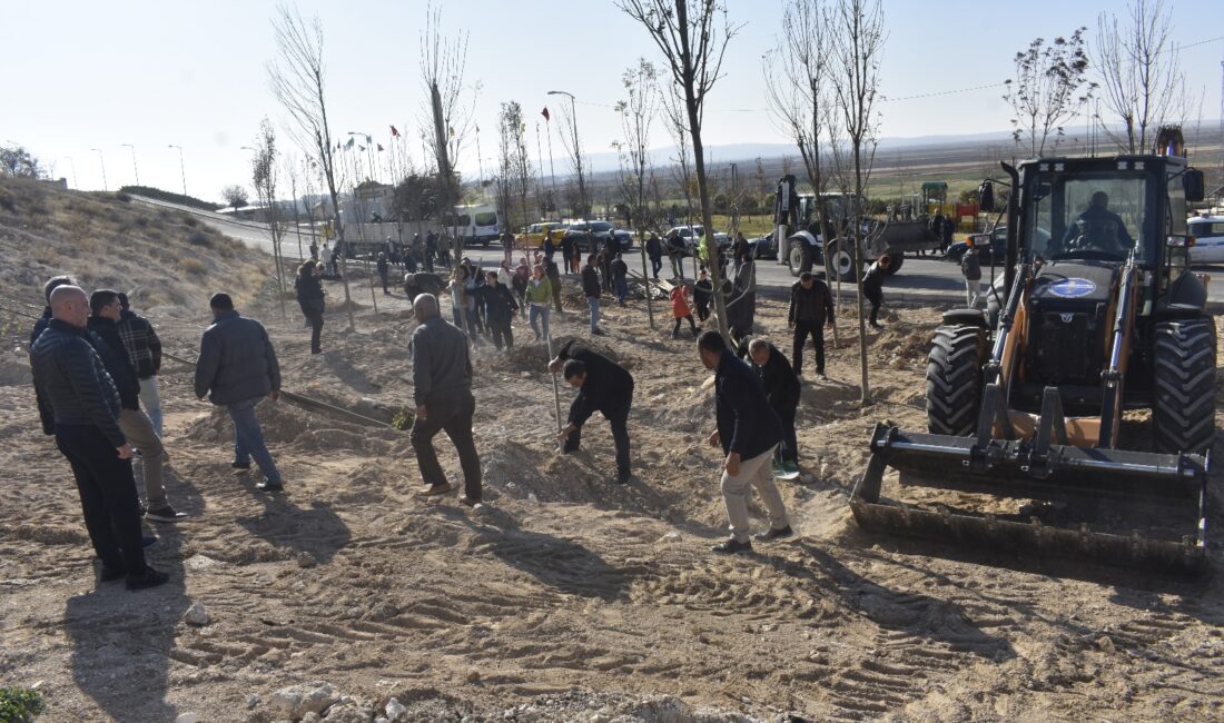 Şereflikoçhisar’da Ağaçlar Toprakla Buluştu Şereflikoçhisar’da Ağaçlar Toprakla Buluştu Ankara’nın Şereflikoçhisar ilçesinde Şereflikoçhisar Belediye Başkanlığı