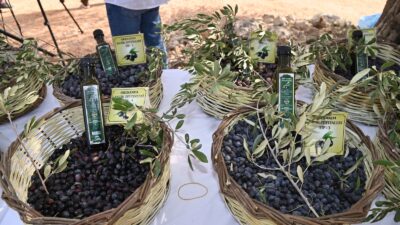 Manavgat’ta Zeytin ve Zeytinyağı Festivali’nin İkincisi Başlıyor Manavgat Belediyesi tarafından