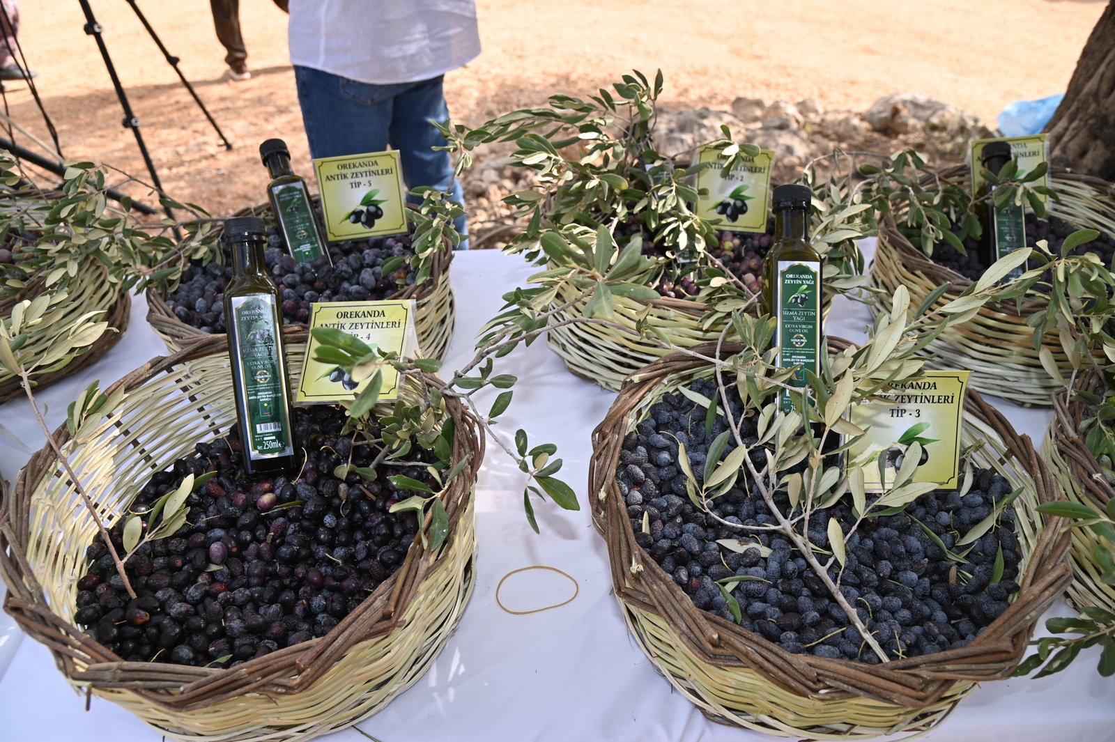 Manavgat’ta Zeytin ve Zeytinyağı Festivali’nin İkincisi Başlıyor Manavgat Belediyesi tarafından