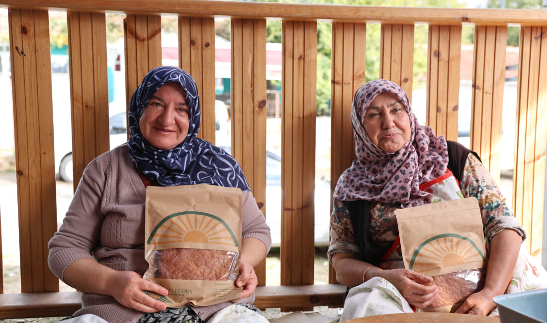 5 Bin Yıl Sonra Ata Yadigarı Kavılca Buğdayı Yeniden Eskişehir