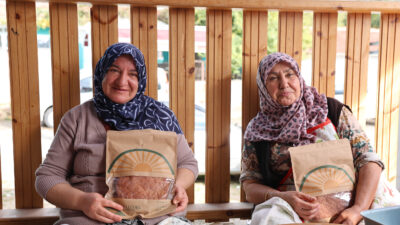 5 Bin Yıl Sonra Ata Yadigarı Kavılca Buğdayı Yeniden Eskişehir