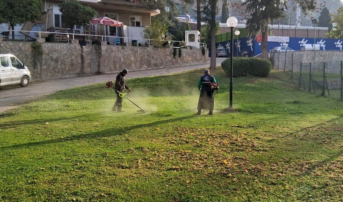 Efeler’in Ekipleri Çalışıyor, Kentin Yeşil Alanları Pırıl Pırıl Oluyor Efeler