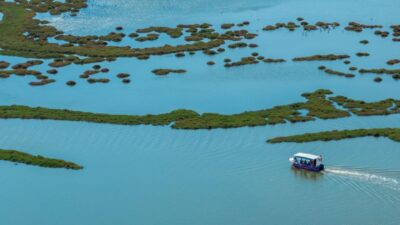 İzmir Doğa Ve Lezzet Tutkunları Bu Turları Çok Sevecek İzmir
