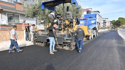 Manisa Büyükşehir Belediyesi, Akhisar Hürriyet Mahallesi 396 ve 454 sokak
