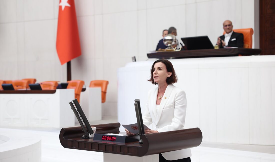 CHP Antalya Milletvekili Aliye Coşar: “Akp Sandıkta Kaybettiklerini, Yargı Eliyle