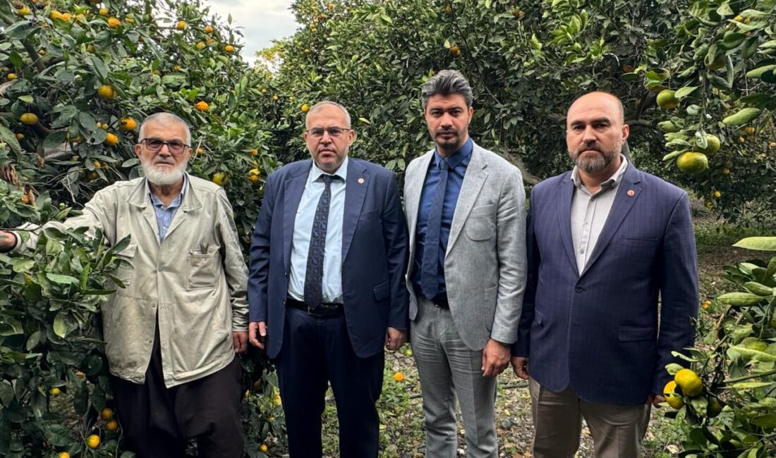 Necmeddin Çalışkan’dan Hatay’da Narenciye Alarmı: “Çiftçi Ürünü 1 Liraya Satıyor,