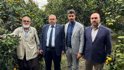 Necmeddin Çalışkan’dan Hatay’da Narenciye Alarmı: “Çiftçi Ürünü 1 Liraya Satıyor,