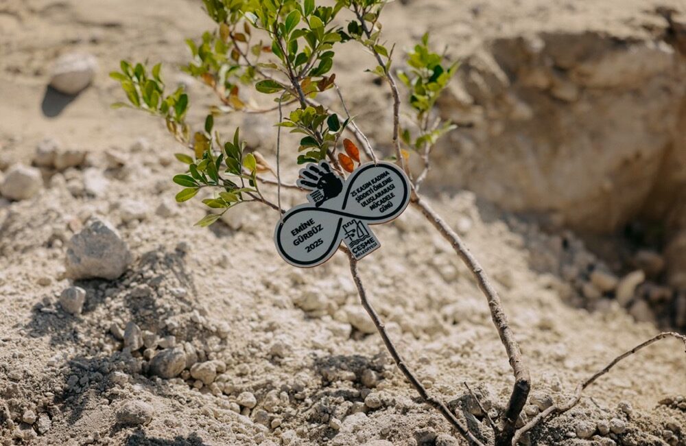 Çeşme’de 411 Fidan, Binlerce Adım, Tek Bir Söz: “İstanbul Sözleşmesi