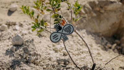 Çeşme’de 411 Fidan, Binlerce Adım, Tek Bir Söz: “İstanbul Sözleşmesi