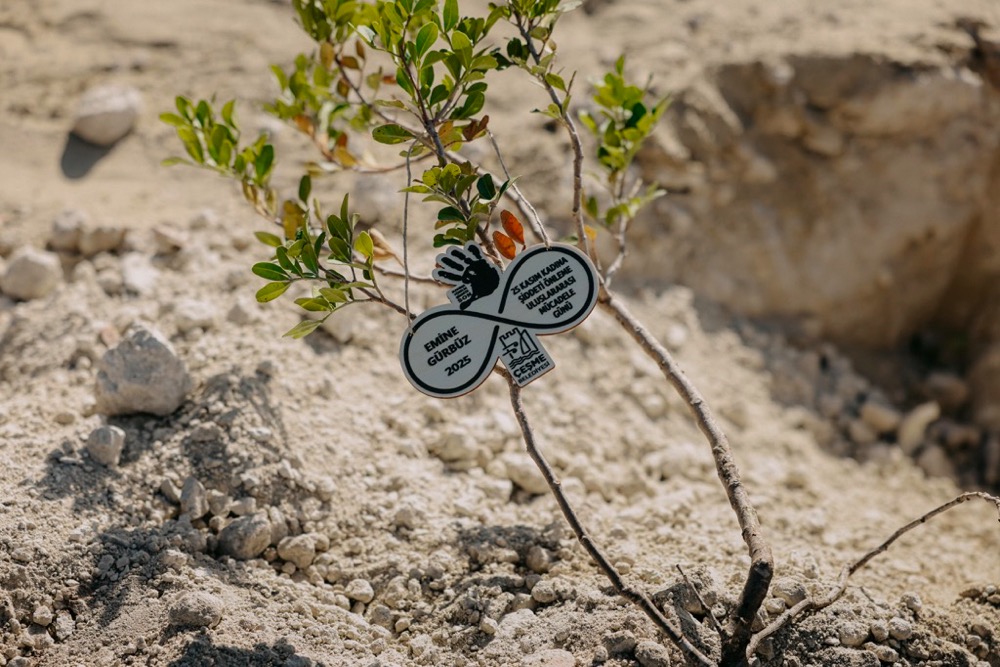 Çeşme’de 411 Fidan, Binlerce Adım, Tek Bir Söz: “İstanbul Sözleşmesi