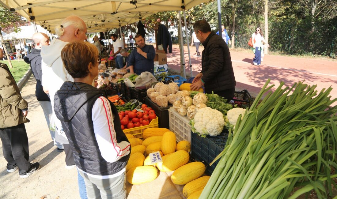 Eyüpsultan Belediyesi, sosyal belediyecilik anlayışıyla hem üreticiyi hem de yerel