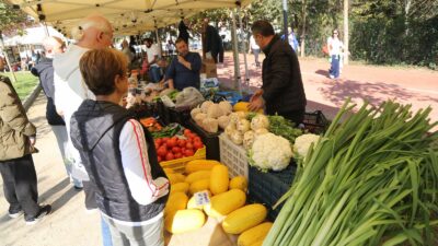 Eyüpsultan Belediyesi, sosyal belediyecilik anlayışıyla hem üreticiyi hem de yerel