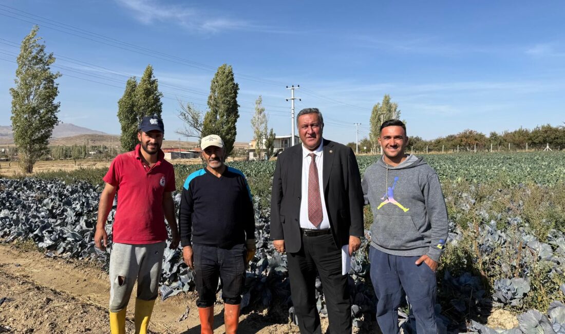 CHP Niğde Milletvekili ve TBMM Tarım, Orman ve Köyişleri Komisyonu