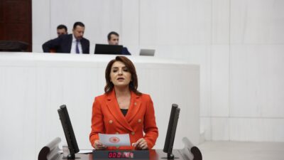 Gülcan Kış: Saray Bir Ayda 2,3 Milyar Tl Harcadı: 17