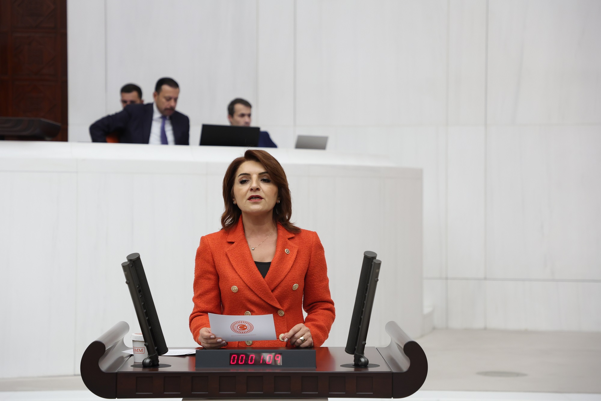 Gülcan Kış: Saray Bir Ayda 2,3 Milyar Tl Harcadı: 17