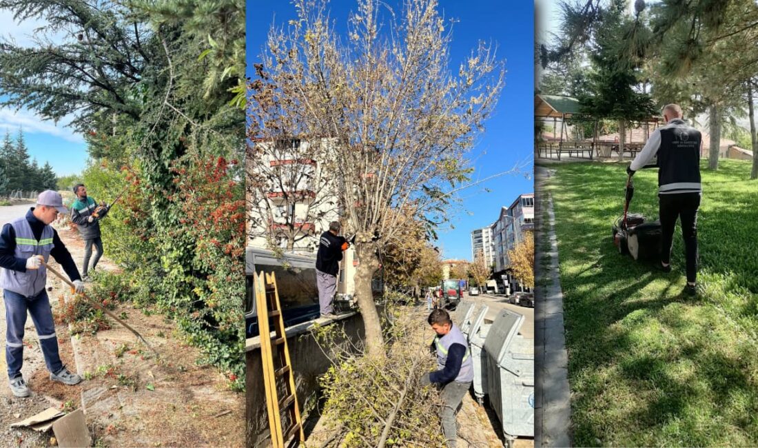 Kahramankazan’ın Dört Bir Yanında Ekipler İş Başında Kahramankazan Belediyesi Park