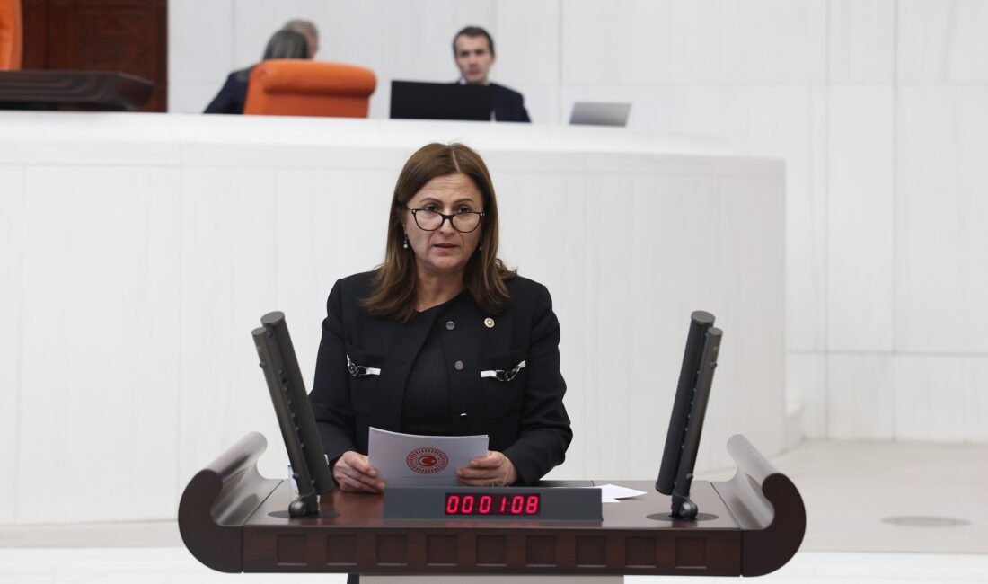 CHP’li Türkan Elçi: “Toplumsal Barış,