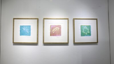 Nilüfer Belediyesi, eski baskı tekniklerini çiçek sevgisiyle buluşturan sanatçı Tülin