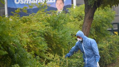 Osmangazi’de kemirgenlere yönelik mücadele.